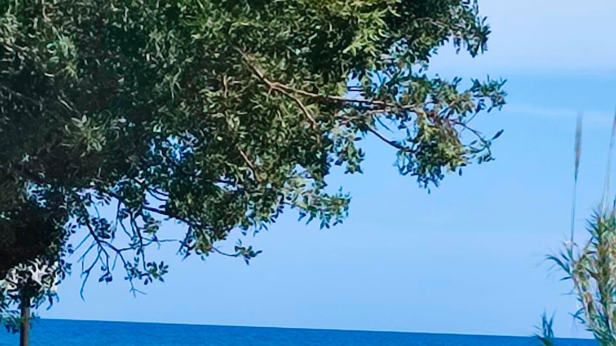 Un artificiero trabajando con el paquete sospechoso.