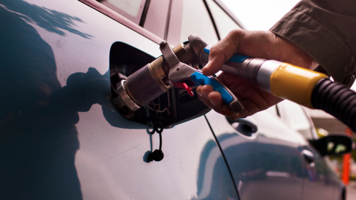 Los vehículos de gas consiguen un 6,5% de las búsquedas.