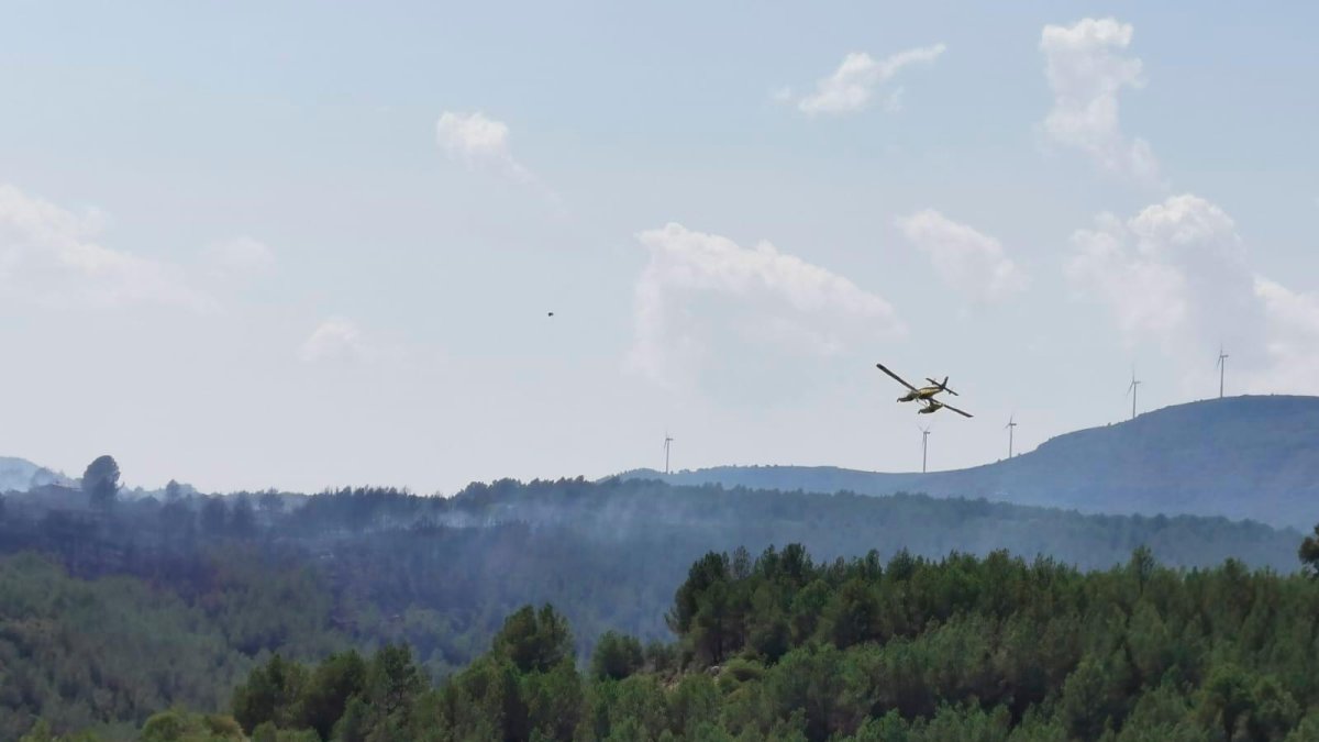 Una avioneta sobrevolando el incendio.