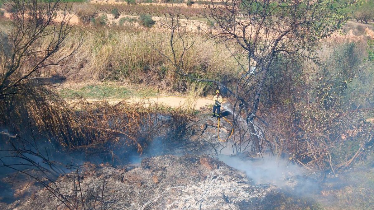 Imagen del incendio en Vinebre.