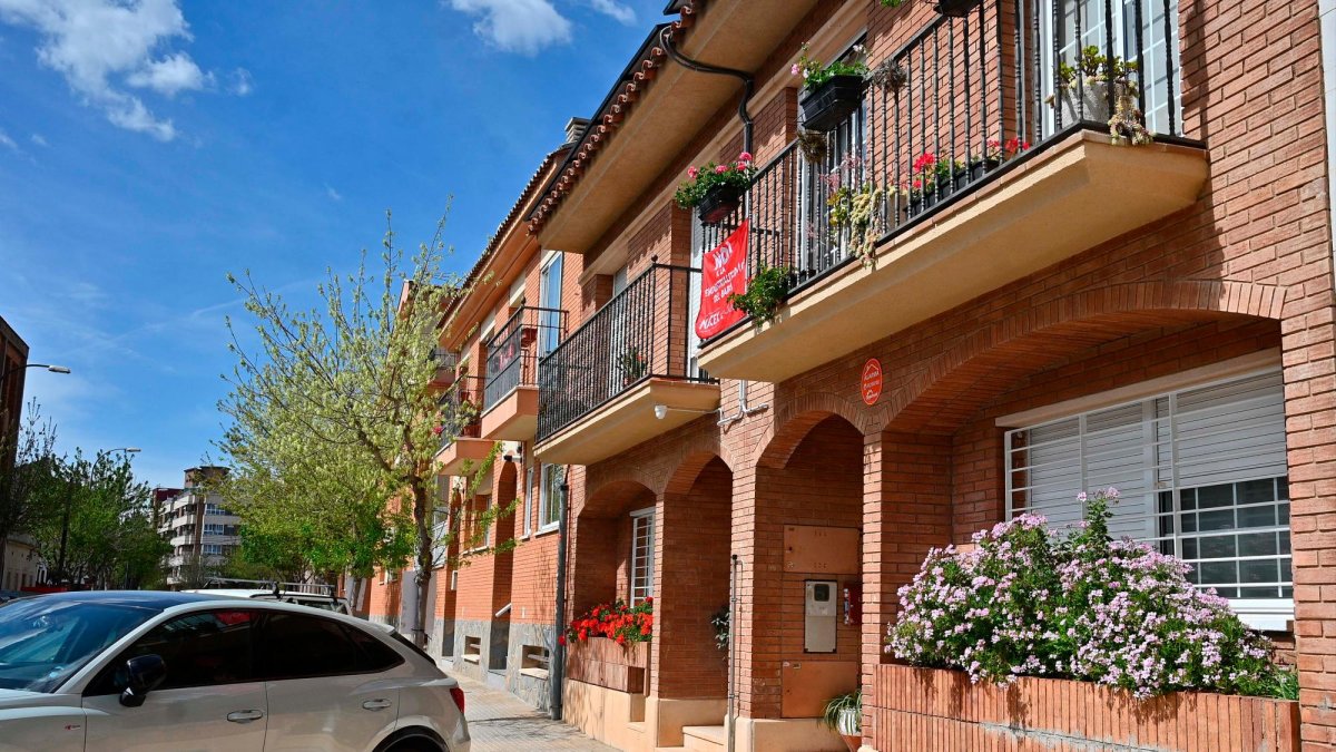 Algunas viviendas de la zona de La Mineta lucen plantas en sus ventanas y balcones.