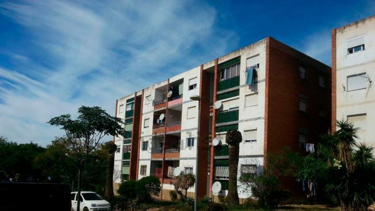 La zona donde se mueve el perro.