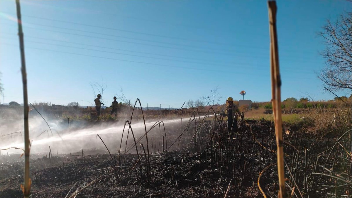 Los bomberos, remojando el incendio de Valls.