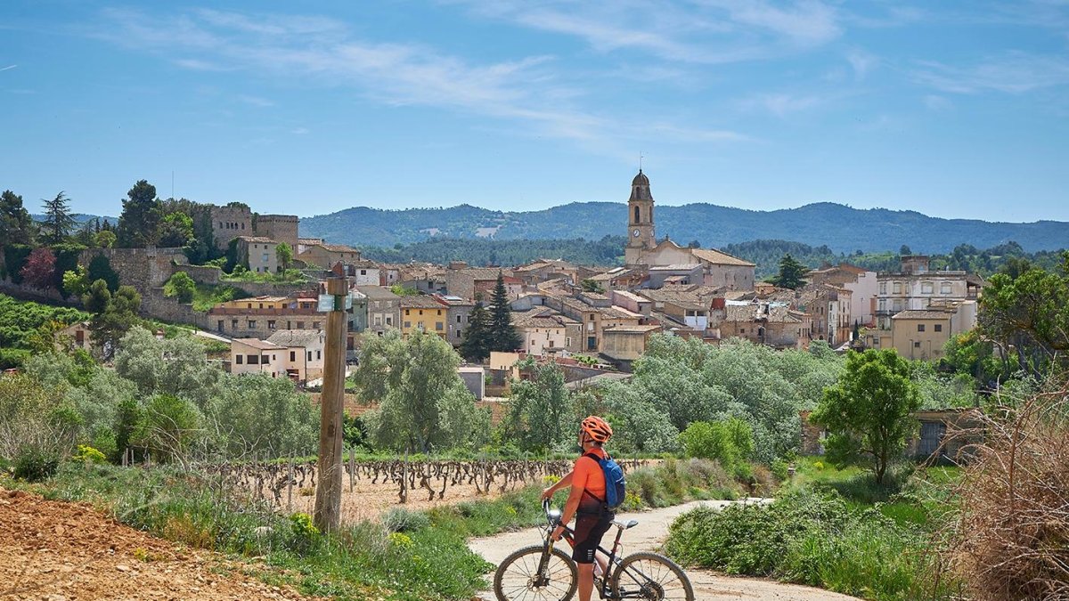 Un tram de la Ruta del Cister que està fent un ciclista.