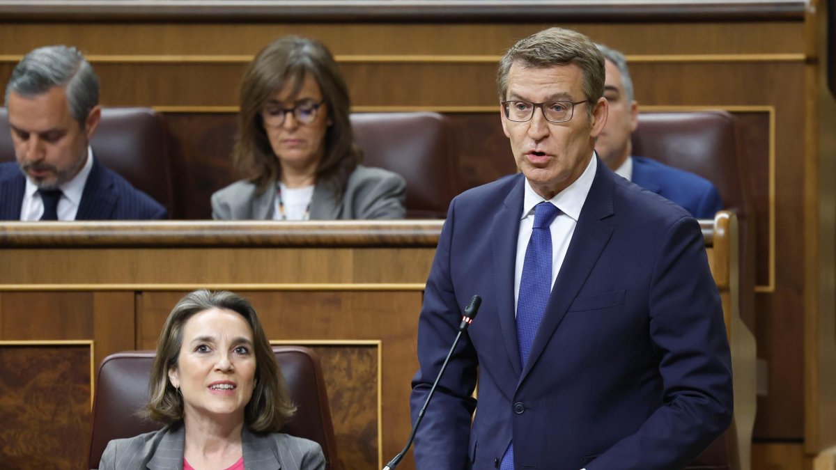 El presidente del PP, Alberto Núñez Feijóo, interviene durante la sesión de control al Gobierno celebrada este miércoles en el Congreso.