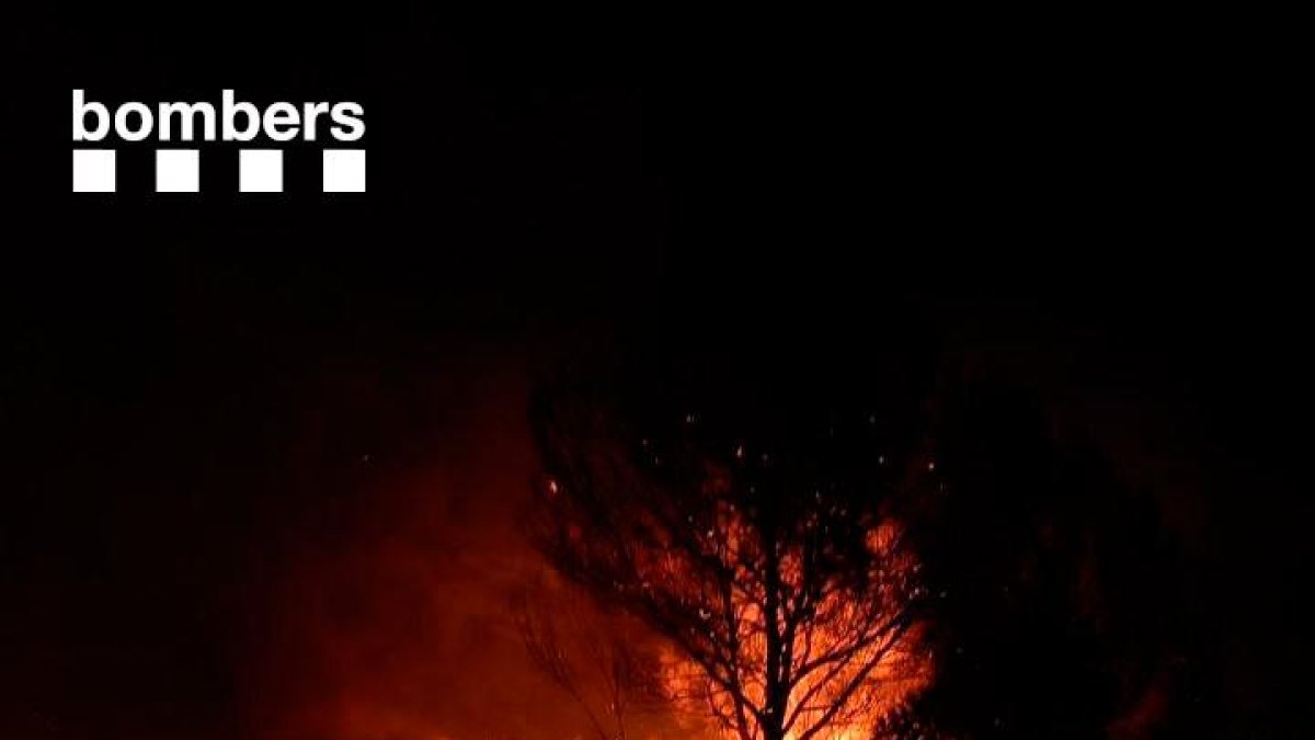 Imagen del incendio de Xerta ayer a las once de la noche.