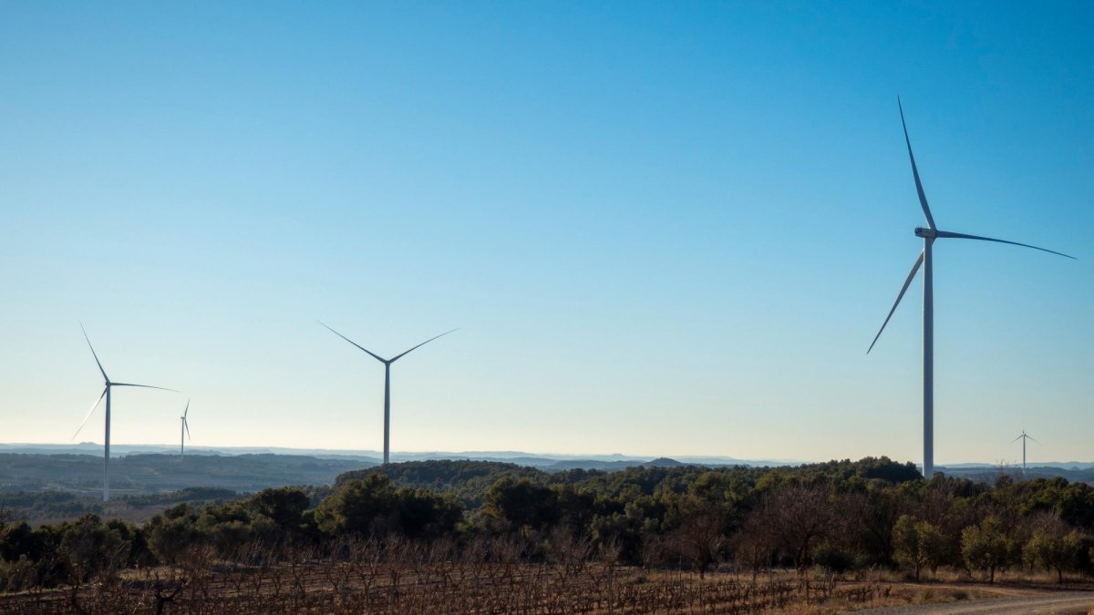 Parte del sector de las renovables, inquieto ante las dificultades para desplegar proyectos.