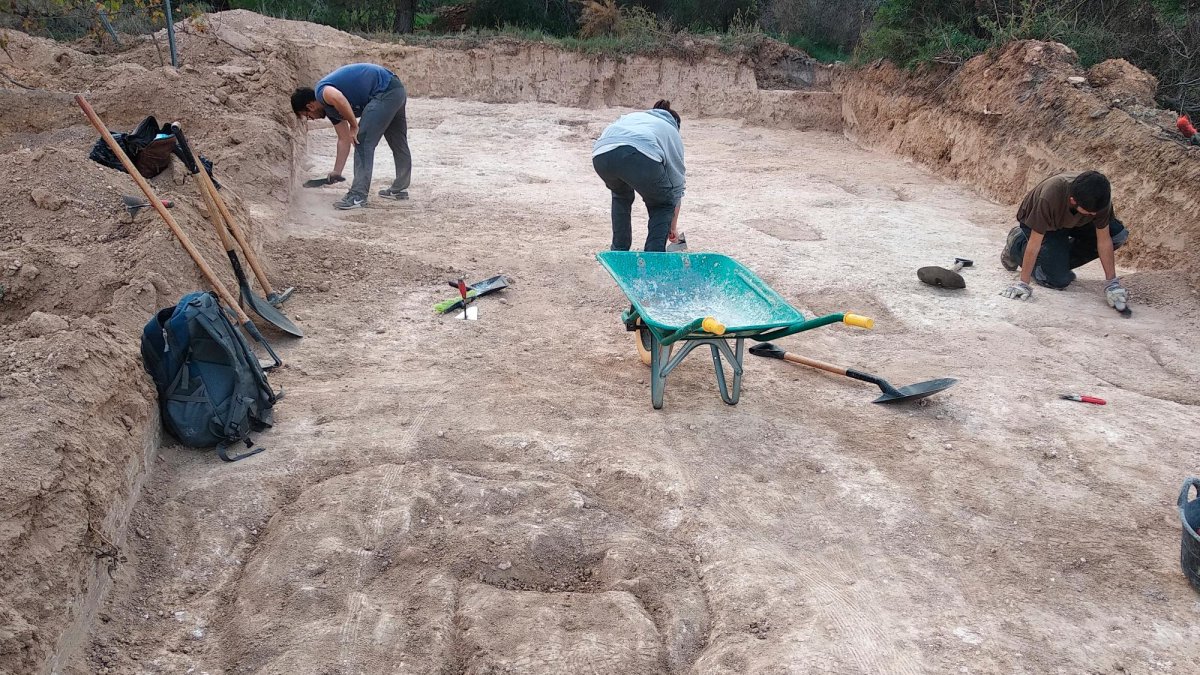 Una de les campanyes anteriors, amb una sitja en primer terme.