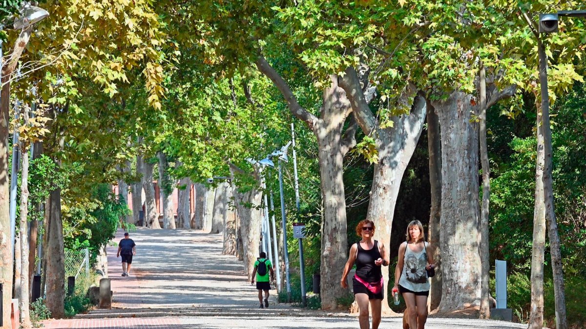 El Passeig de la Boca de la Mina es una de las zonas de la ciudad que reúne zona verde y biodiversidad.