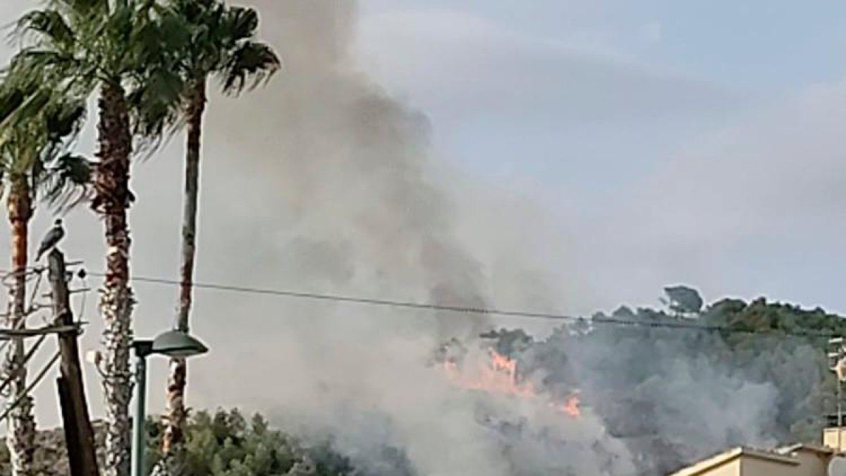 La humareda es visible desde el núcleo del pueblo