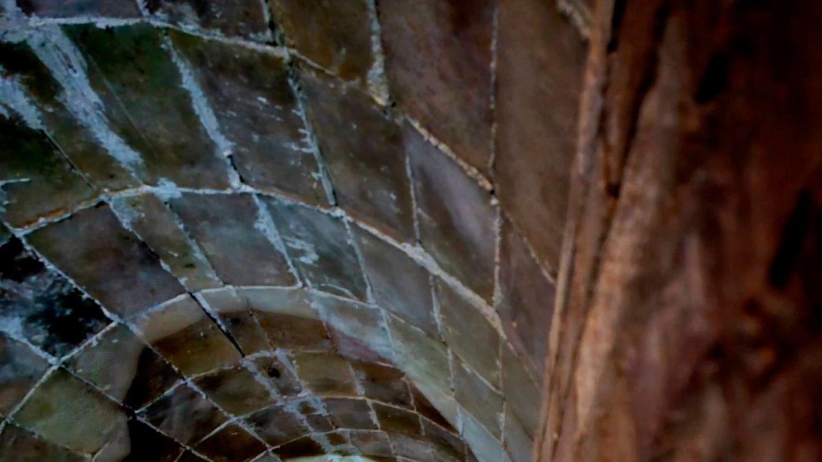 La entidad Adhso ha encontrado otro de los refugios.