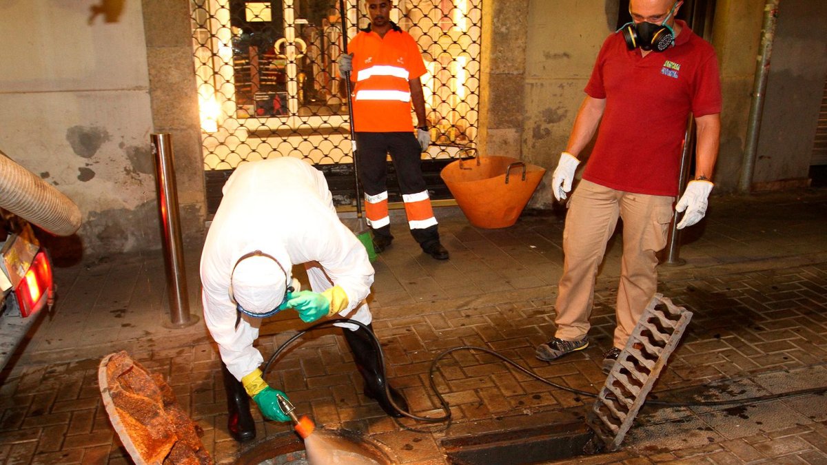 Una fumigación de las alcantarillas de la ciudad.