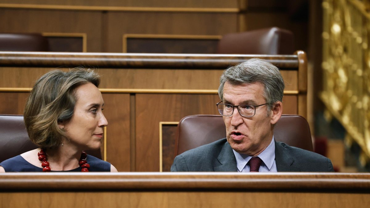 El líder del Partido Popular, Alberto Núñez Feijóo, conversa con la diputada popular Cuca Gamarra, durante el pleno extraordinario del Congreso que este jueves debate la toma en consideración de la proposición de ley Orgánica de reforma de la Ley Orgánica 6/1985, de 1 de julio, del Poder Judicial y de reforma de la Ley 50/1981, de 30 de diciembre, por la que se regula el Estatuto Orgánico del Ministerio Fiscal.