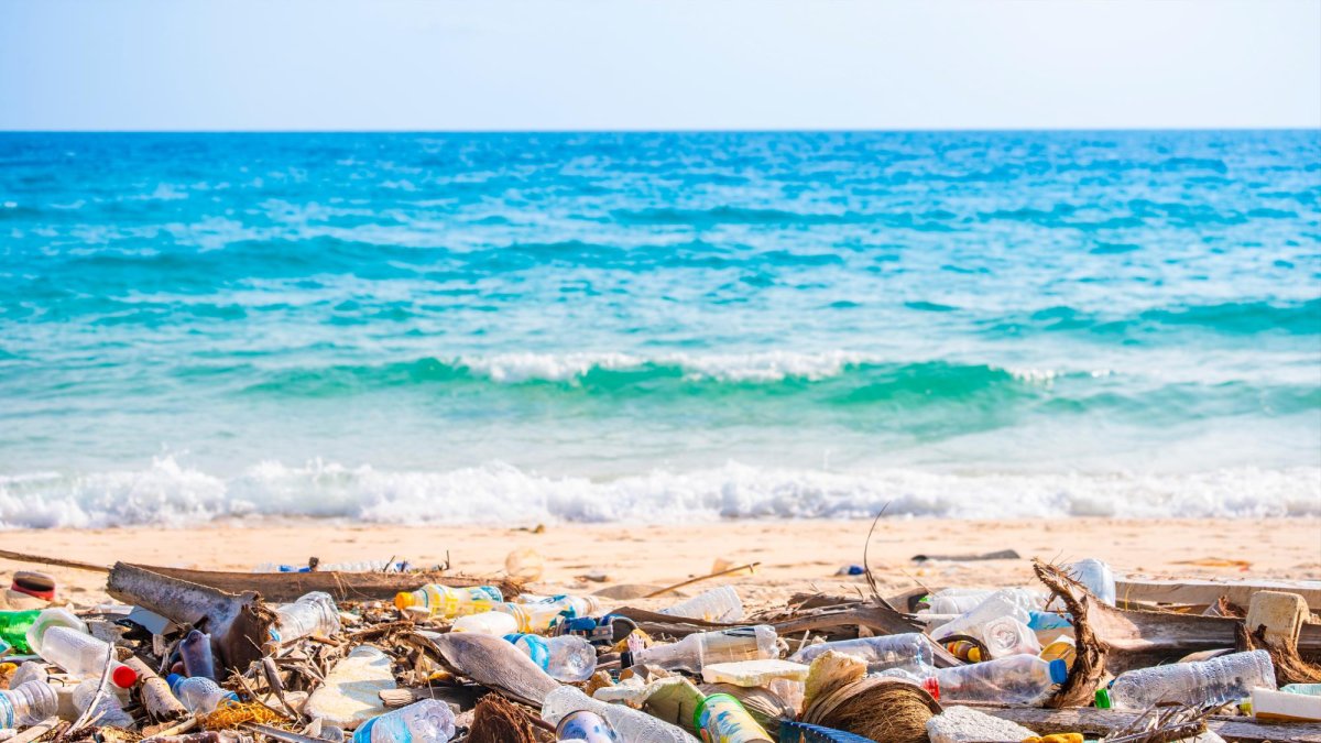 Esta recolección de plástico se llevará a cabo junto a las cofradías y la comunidad de pescadores.