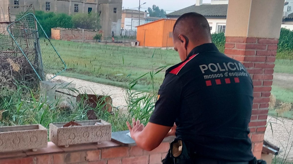 El caso denunciado entra dentro del maltrato animal.