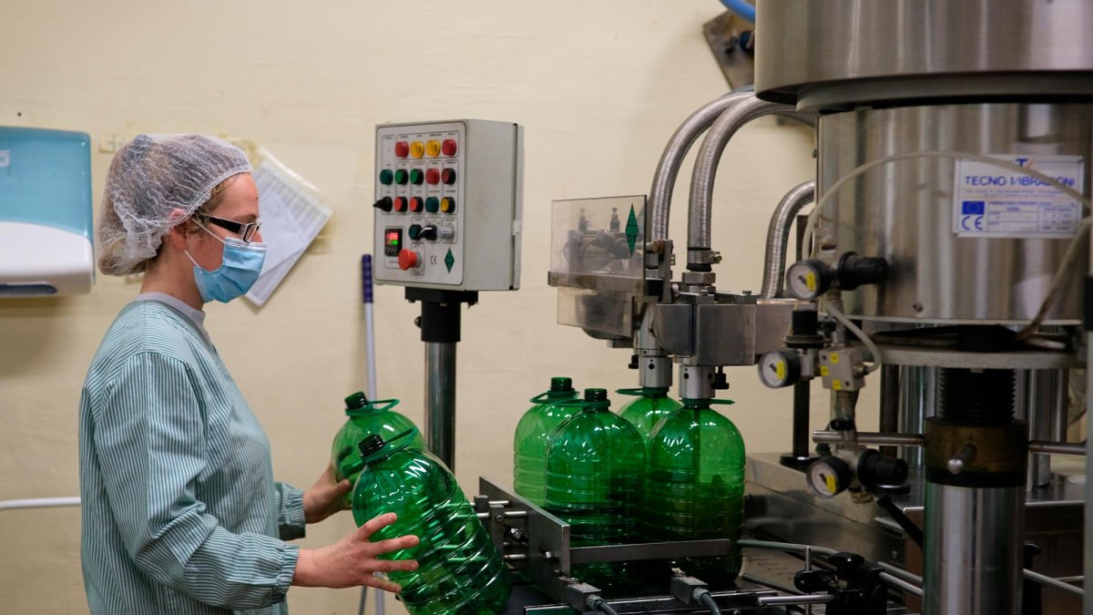 Planta d’embotellament de l’oli Antara, a La Selva del Camp.