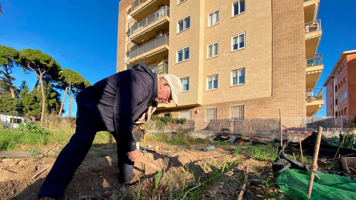 Un usuario trabajando en una parcela del espacio municipal de huertos urbanos del barrio Gaudí, en el año 2022.