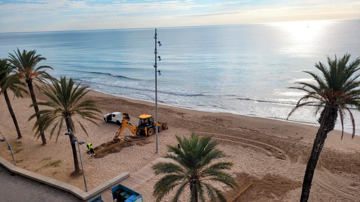 La instalación de barreras de cañas para retener la arena que arrastra el viento en la playa de Calafell.