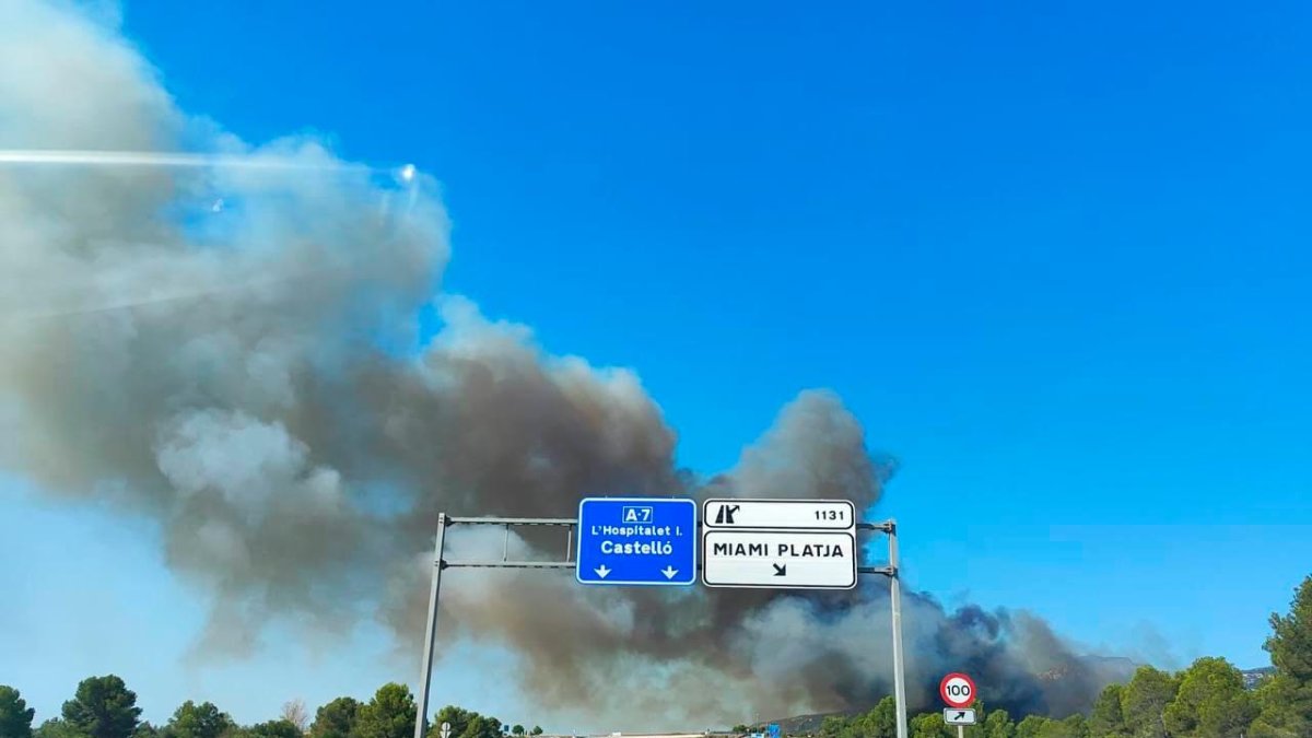 Imagen del incendio desde la A-7 en Mont-roig.