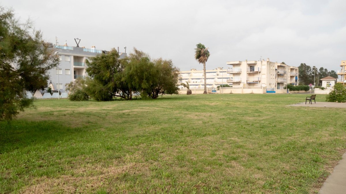 Habitatges de la urbanització Eucaliptus, al terme d’Amposta al delta de l’Ebre.