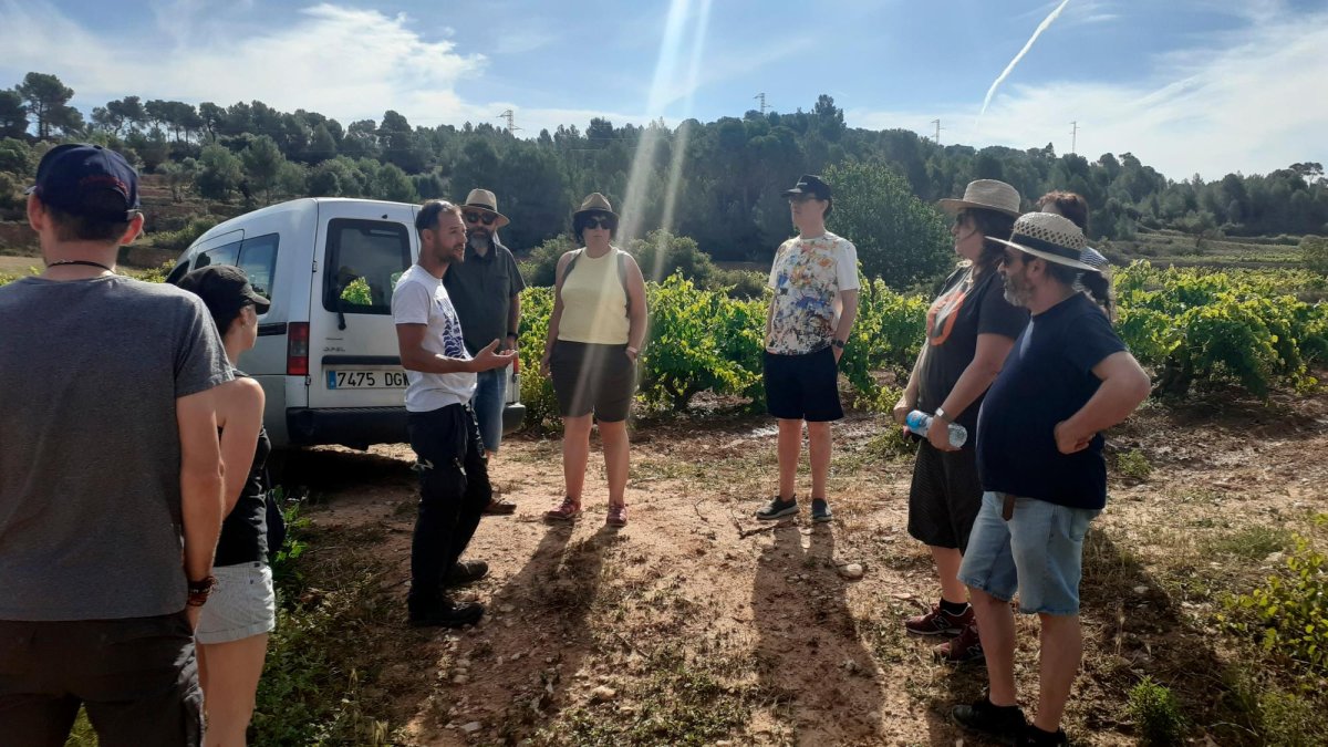 Una de les visites que s’ha fet a les vinyes per poder conèixer més detalls del vi i de com és la varietat.