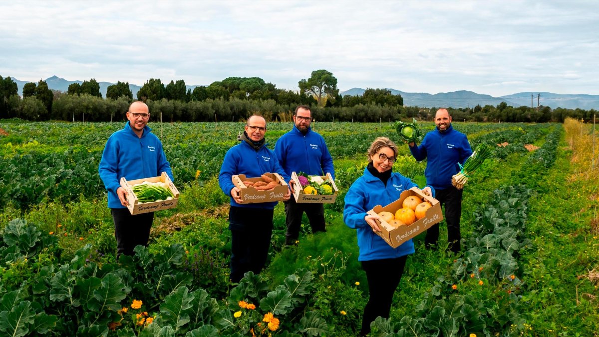 Verdcamp Fruits de Cambrils recibe el Premio Extraordinario de BBVA al Mejor Productor Sostenible de España