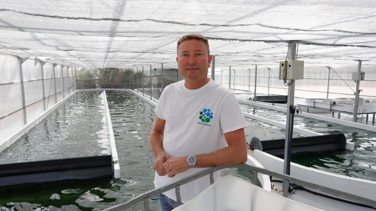Mario Muñoz Domenech, fundador de Microalgae Lab, en su planta piloto de Tarragona. A la derecha, algunos productos.