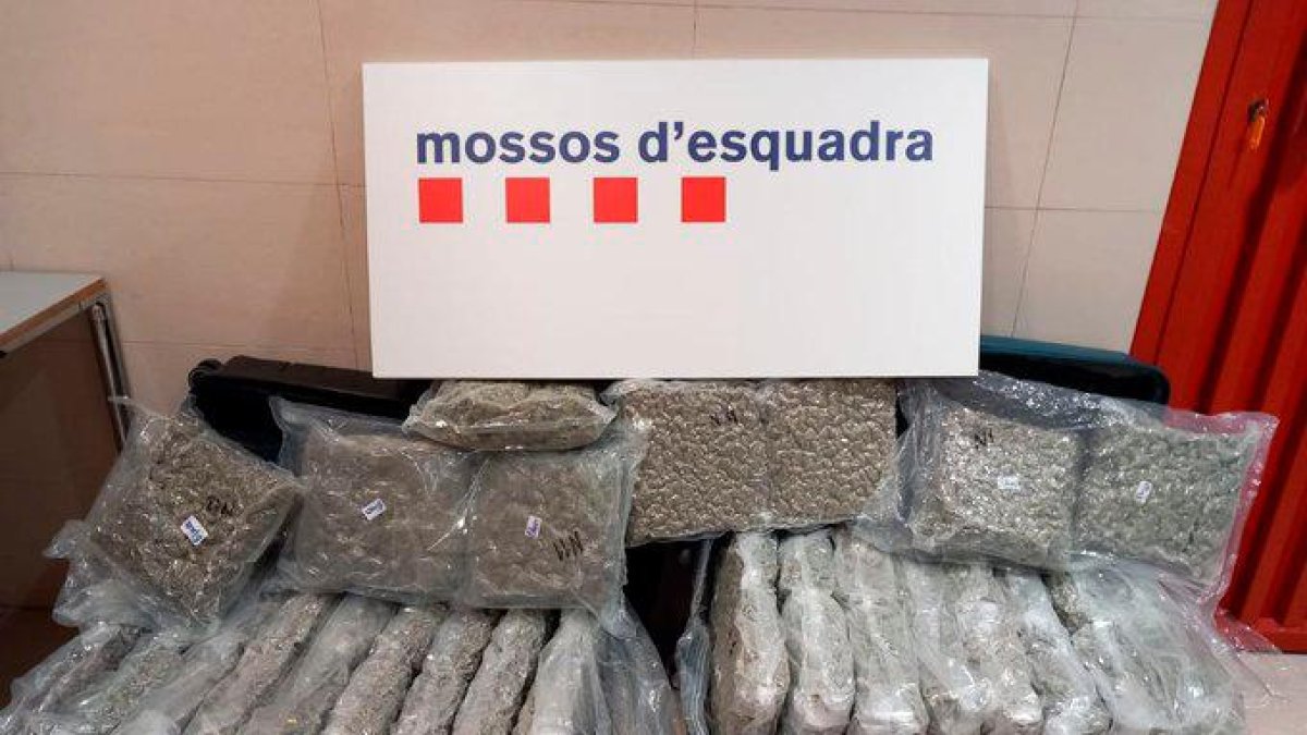 Imagen de la droga incautada.