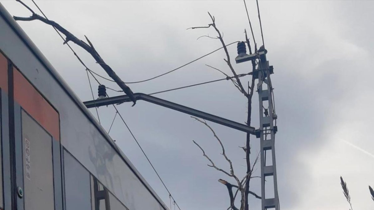 El tren parado en la vía a consecuencia del árbol caído.