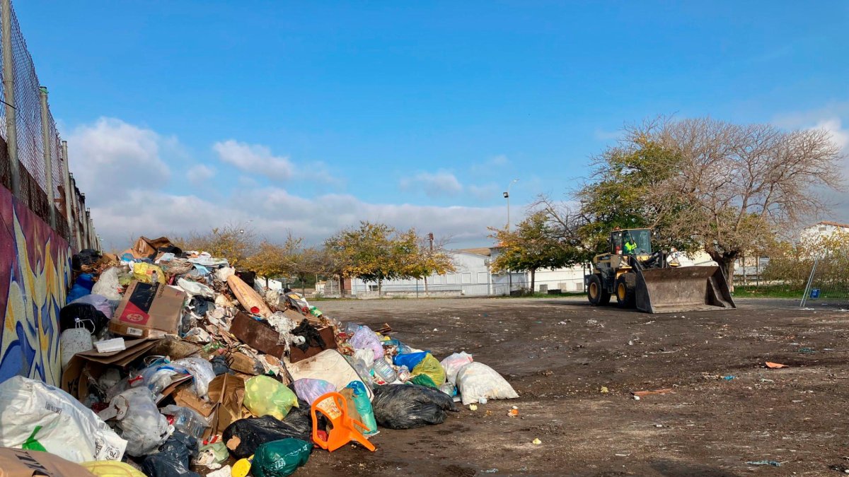 Para la recogida se han usado excavadoras.