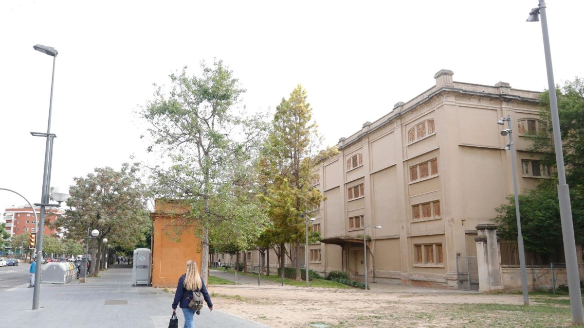 El centro universitario del deporte se ubicará en el almacén 5 de la Tabacalera.
