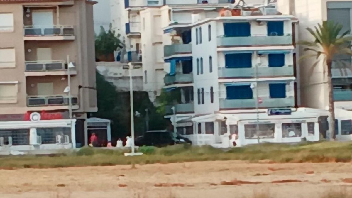 La garceta asentada entre la salicornia en Coma-ruga.