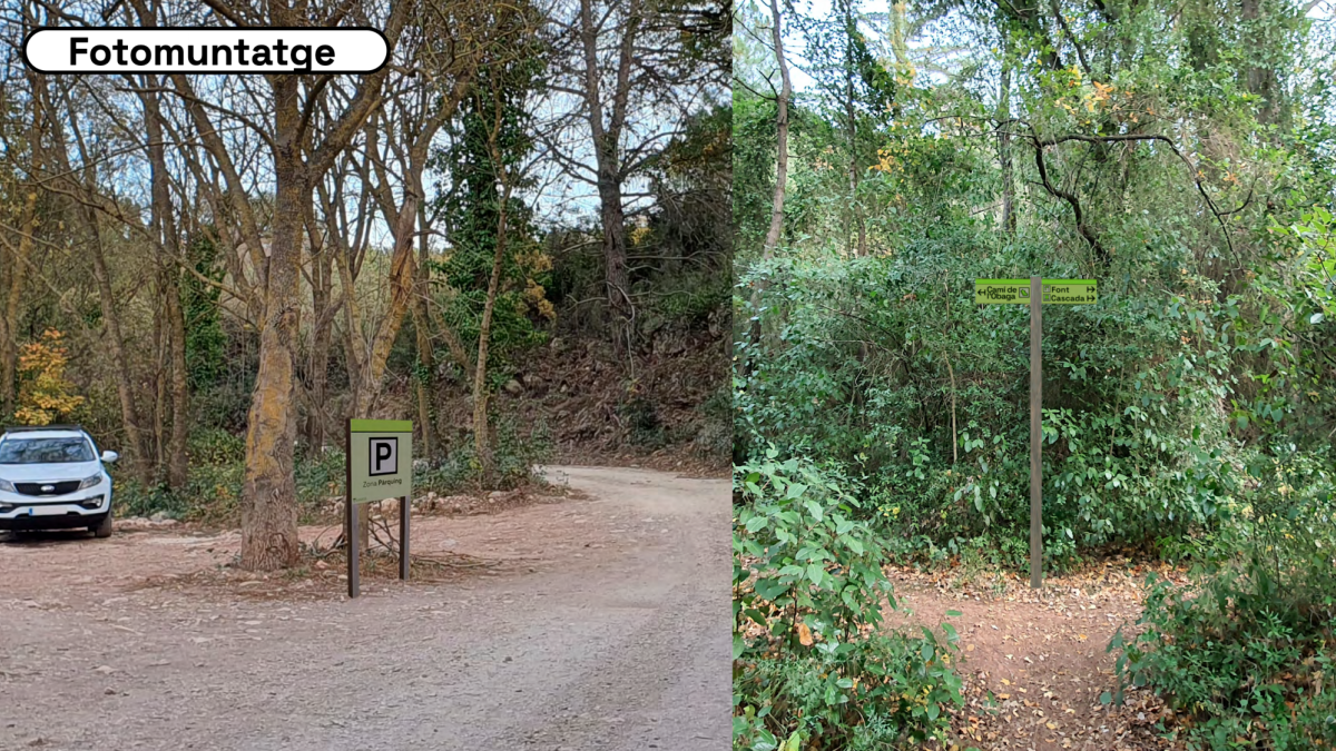 Des de fa uns mesos s’executen els treballs de conservació de l’entorn natural de la Vall. .