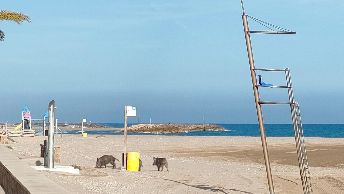 En la playa de Cunit