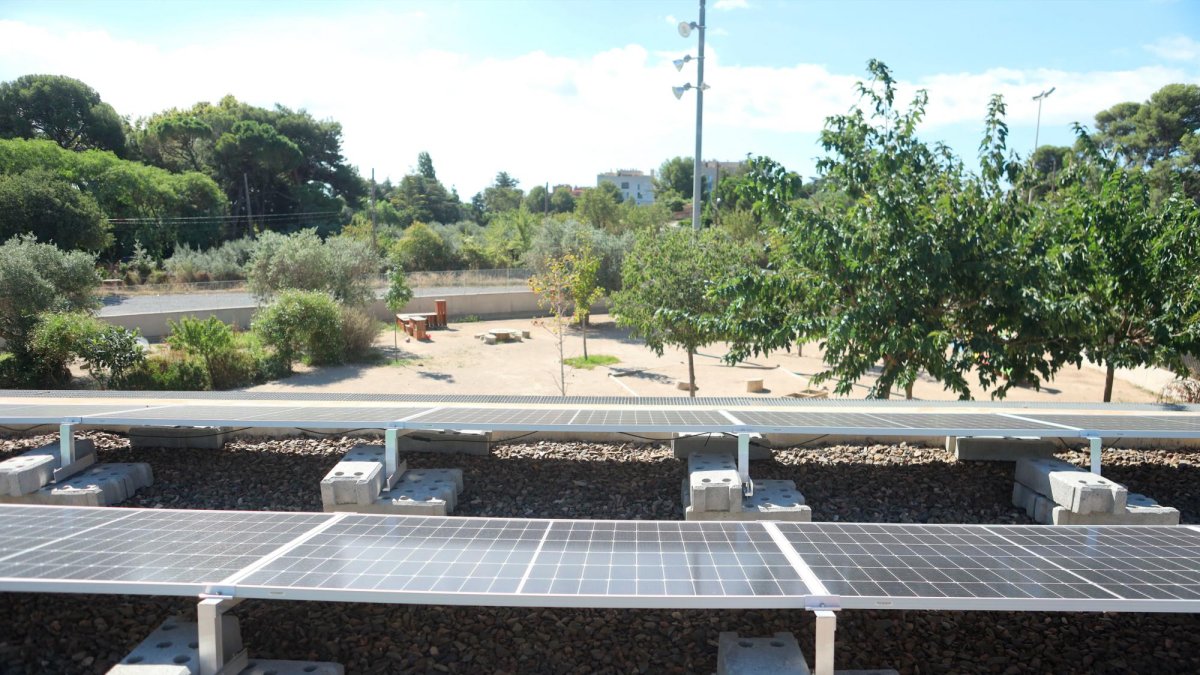 Las placas solares que ocupan la cubierta de la Escola La Vitxeta.