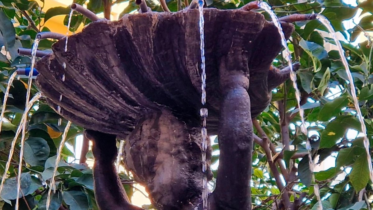 La font del Negrito, origen de la nomenclatura de la plaça del Negrito a València.