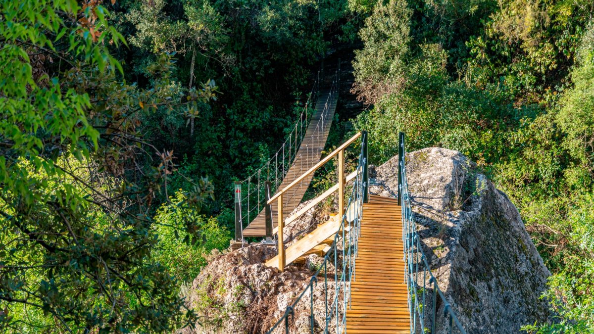 Puentes colgantes que cruzan el río.