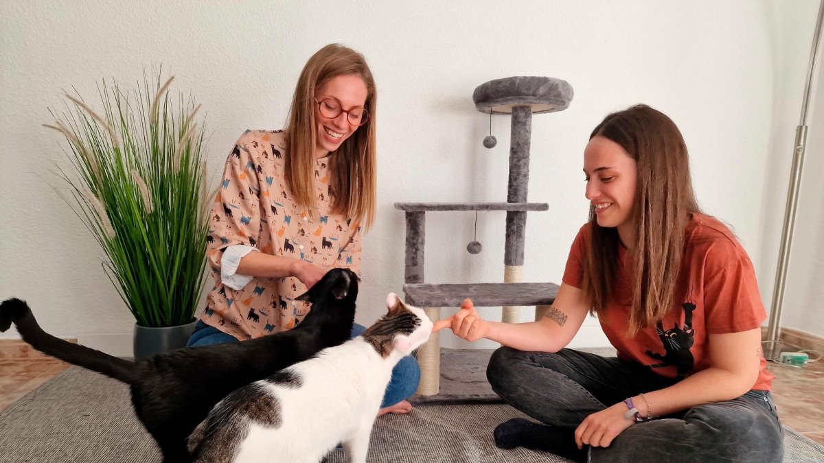 Xènia y Marina son hermanas e ideólogas del proyecto Michinanny.