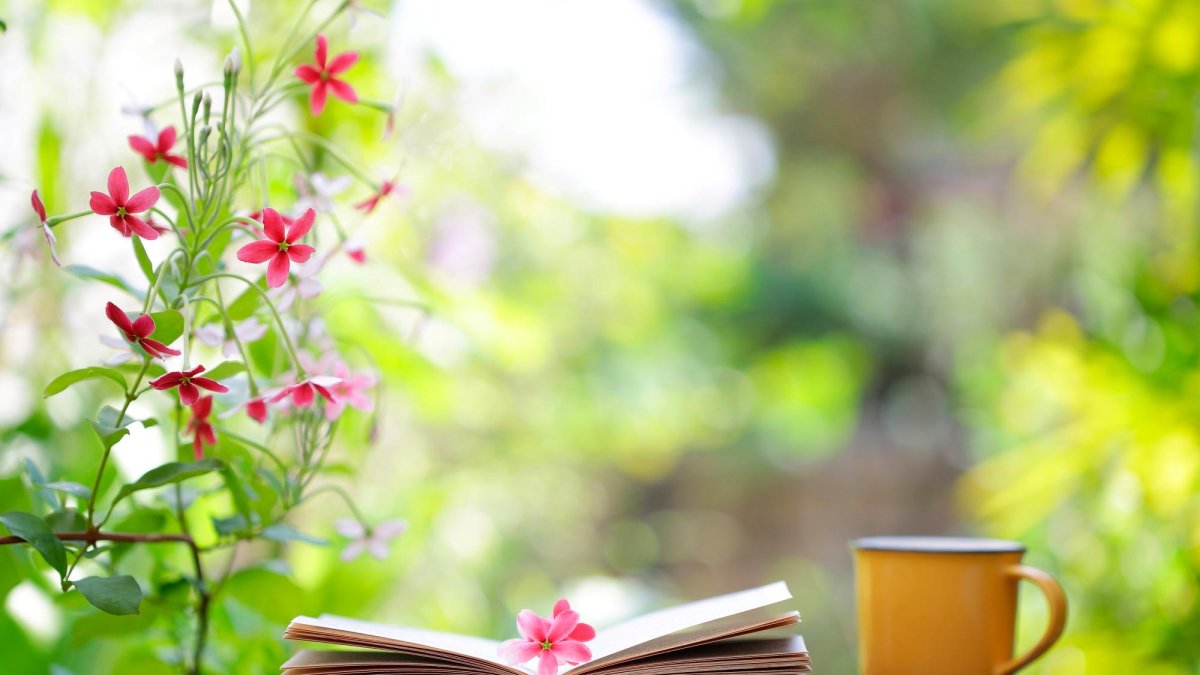 Terror gótico, un thriller geopolítico actual, batallas debajo del sofá y una tierna relación.