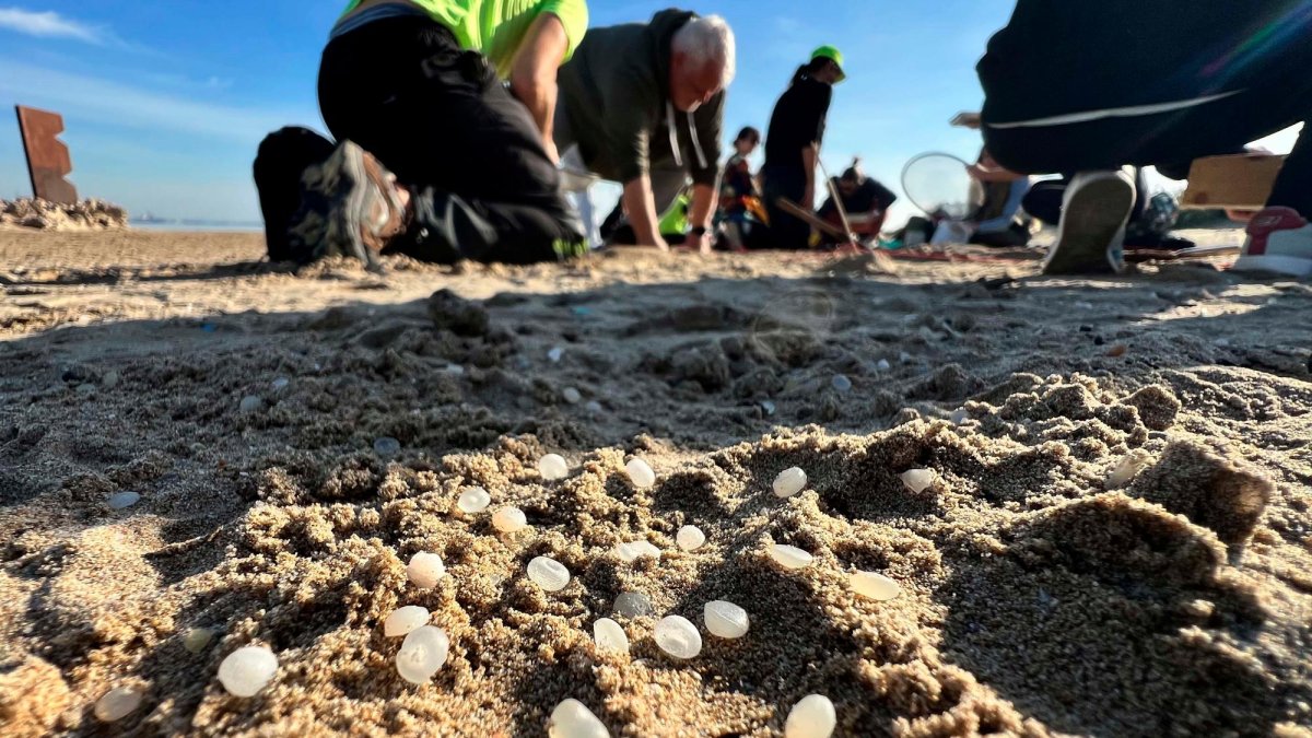 La playa de la Pineda es una de las más afectadas por microplásticos.