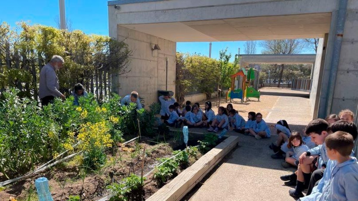 Un grup d’alumnes, als espais exteriors de l’Escola Elisabeth.
