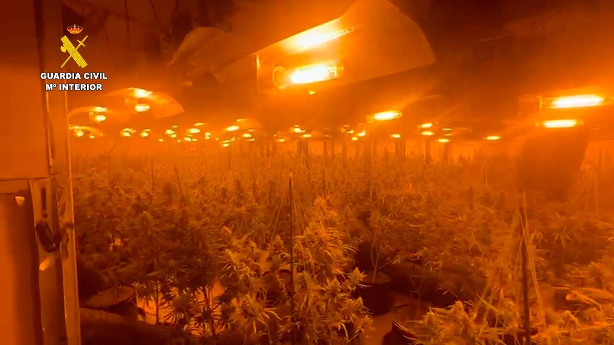 La organización estaba compuesta en su totalidad por individuos de origen albanés.