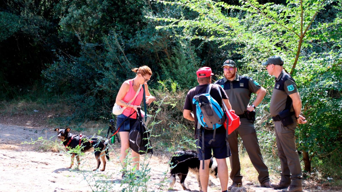 Aumenta un 20% el número de denuncias de Agents Rurals en el medio natural durante el primer semestre de 2024