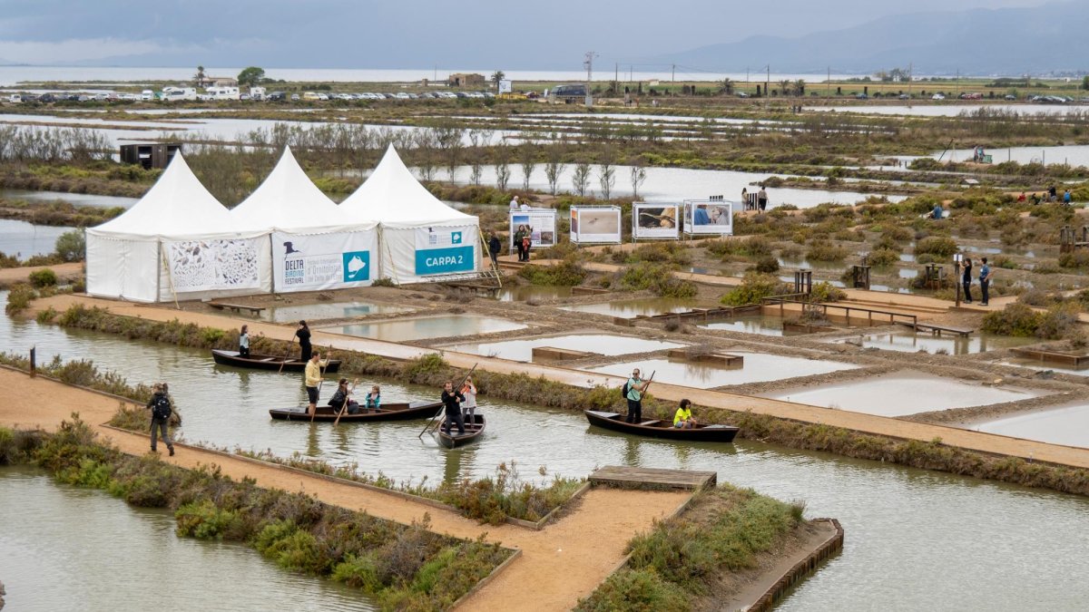 El Delta Birding es consolida com el festival ornitològic de referència a la Mediterrània