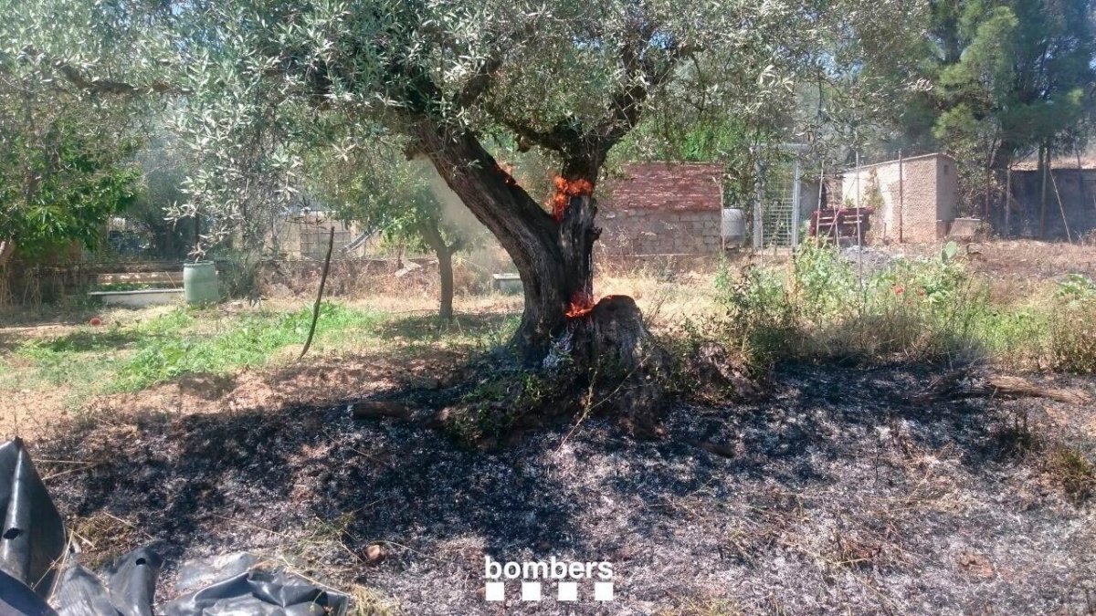 L’incendi de Flix va cremar 1,4 hectàrees de terreny de propietat privada el 8 de juny de l’any 2019.