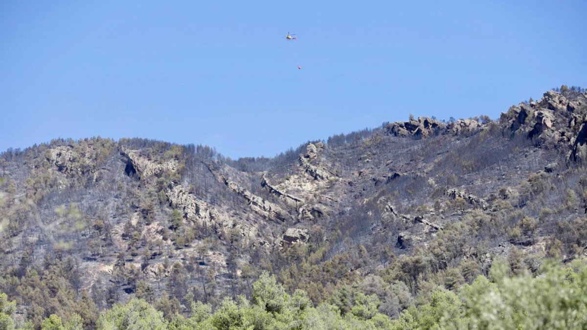 Imagen de parte de la zona boscosa calcinada en Cabacés.