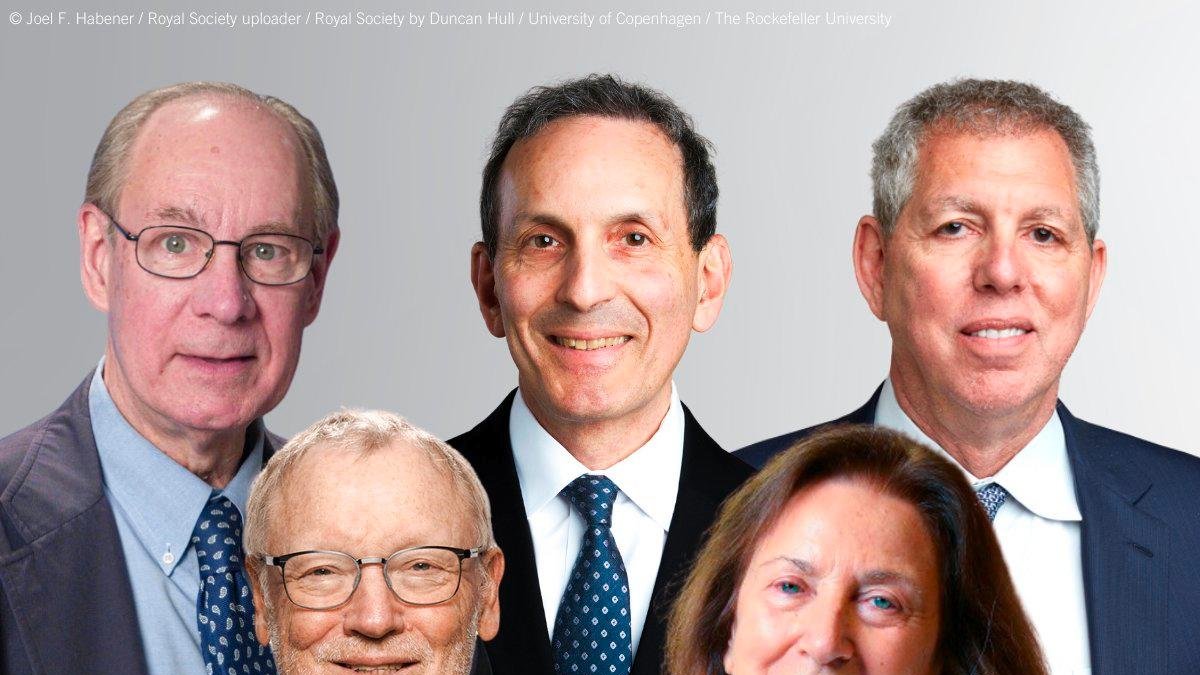 Daniel J. Drucker, Jeffrey M. Friedman, Joel F. Habener, Jens Juul Holst  y Svetlana Mojsov, reconocidos con el Premio Princesa de Asturias de Investigación Científica y Técnica 2024.