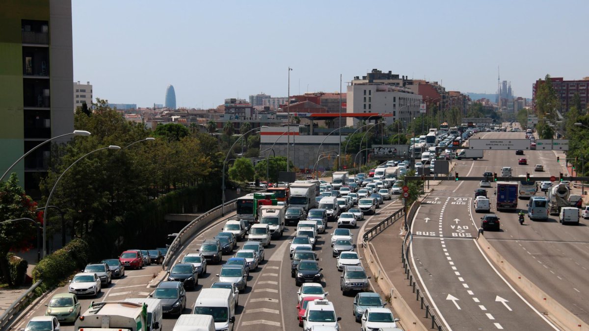 Han deixat cons a la zona per si es reactiven més tard.