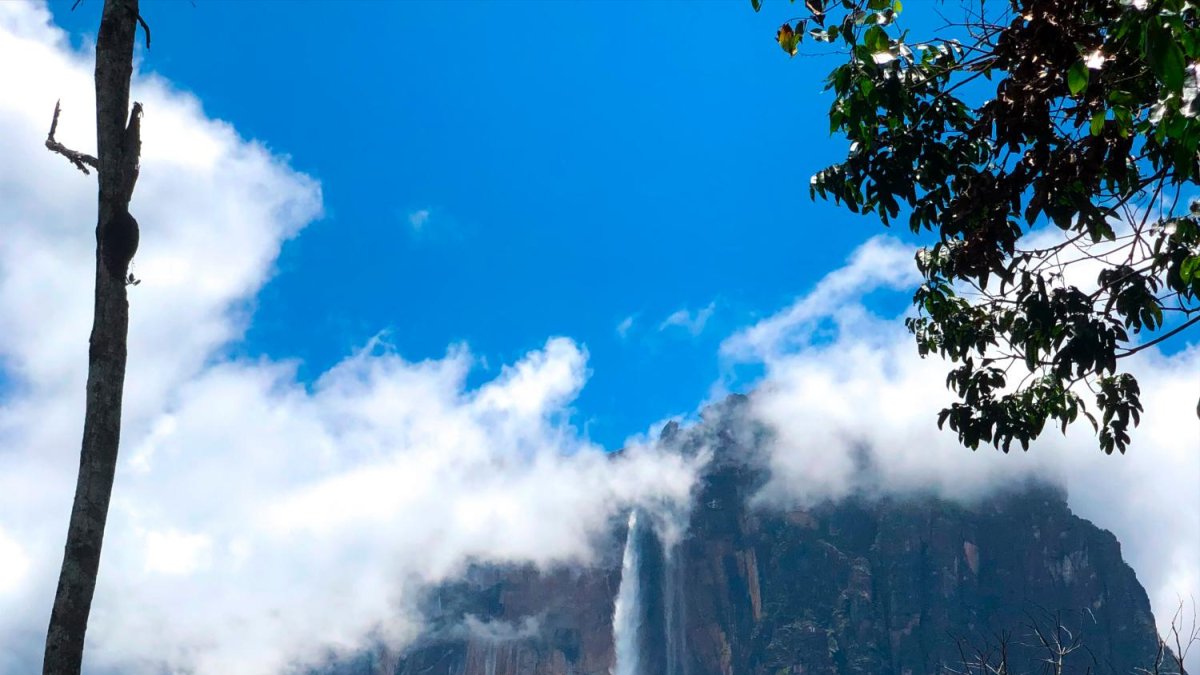 El Salto del Ángel es la cascada más alta del mundo, con una altura de 979 metros. Se encuentra en Venezuela.