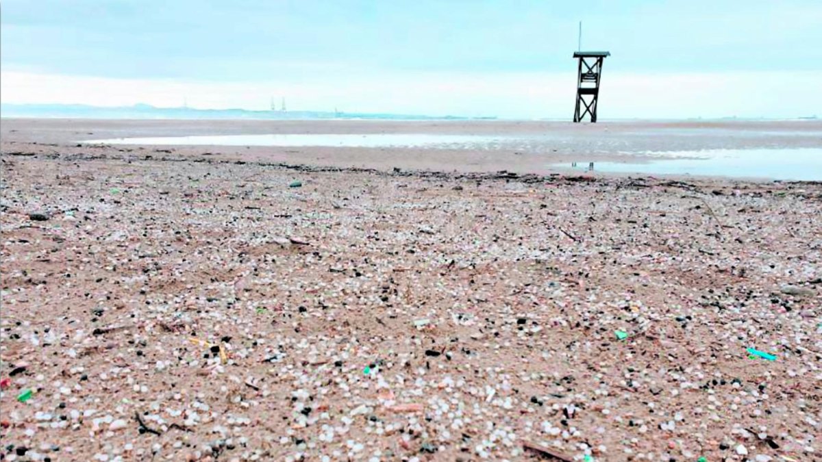 Pélets en la playa de La Pineda.